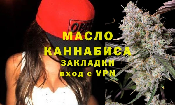 крисы Надым