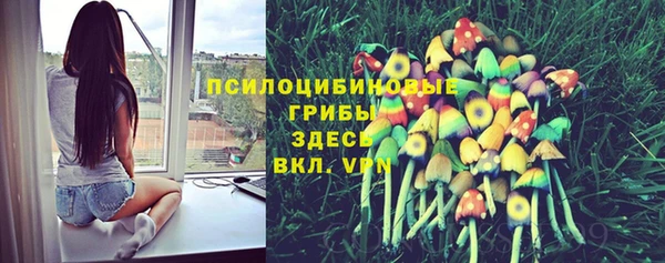 спиды Навашино