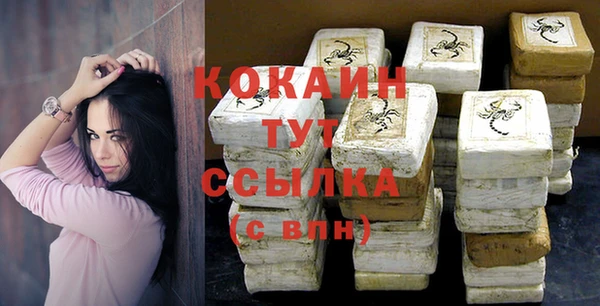 крисы Надым