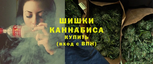 крисы Надым