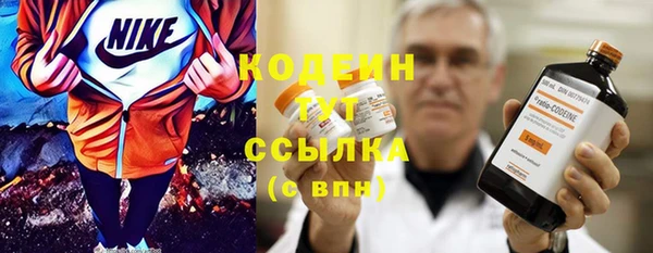 крисы Надым