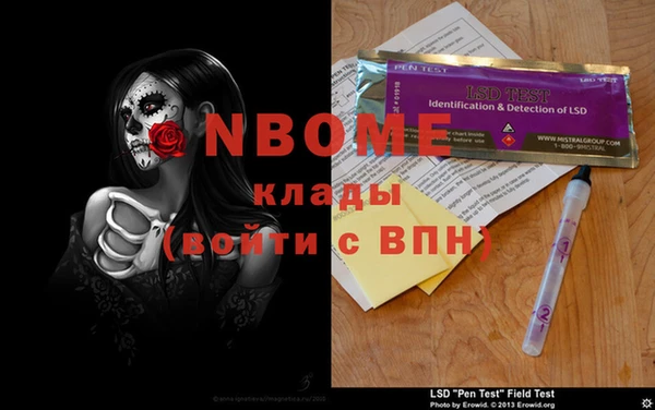крисы Надым