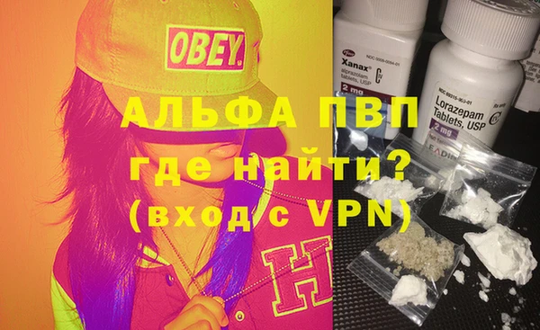 крисы Надым