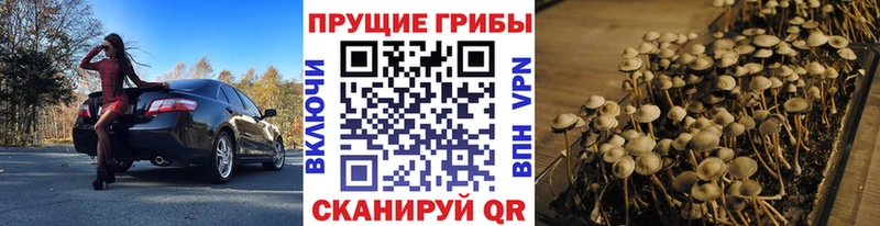 Псилоцибиновые грибы Magic Shrooms  купить наркотики цена  Заозёрск 