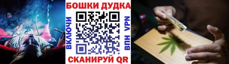 Бошки марихуана Amnesia  продажа наркотиков  Заозёрск 